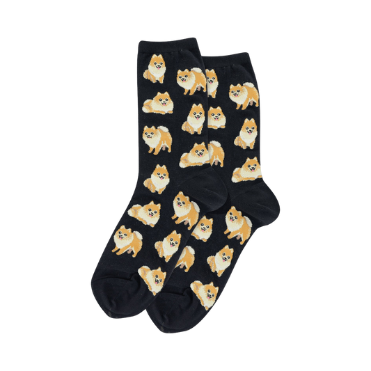 Pomeranian