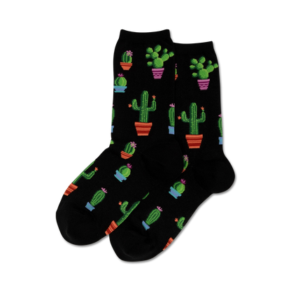 Potted Cactus