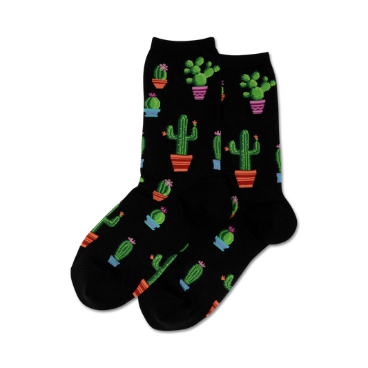 Potted Cactus