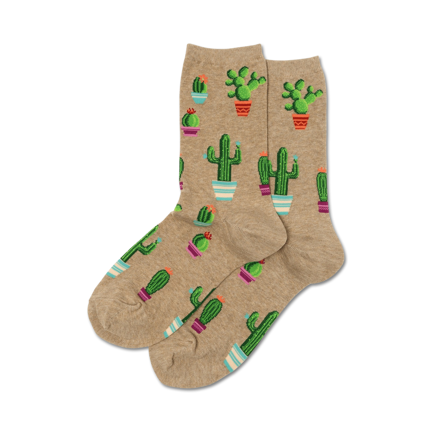 Potted Cactus