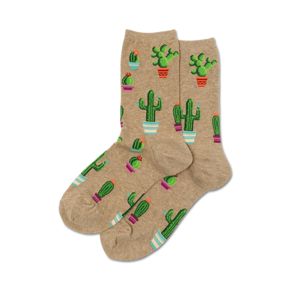 Potted Cactus