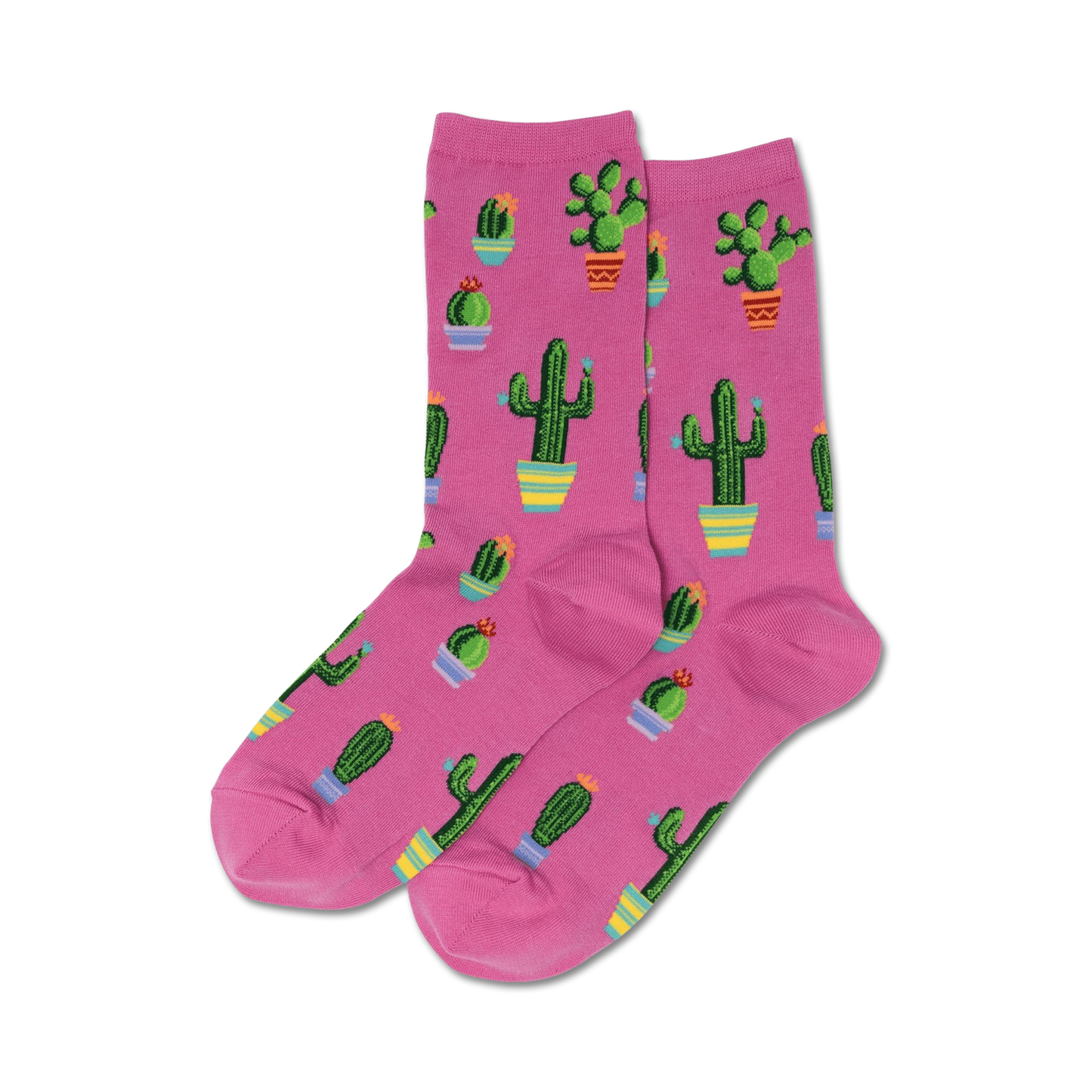 Potted Cactus