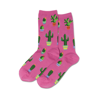 Potted Cactus