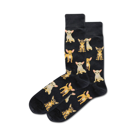 Chihuahua