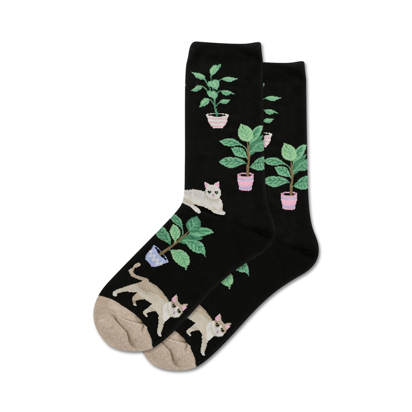 Cats and Plants