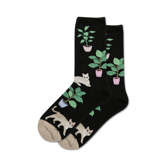 Cats and Plants