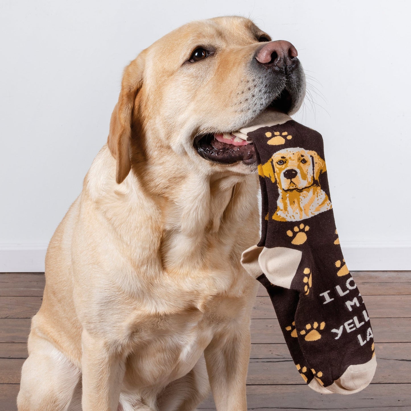 I Love My Yellow Lab