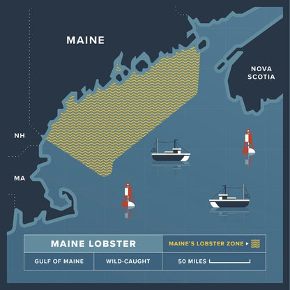 3-4 oz. Maine Lobster Tail Bulk Pack - 5 lbs