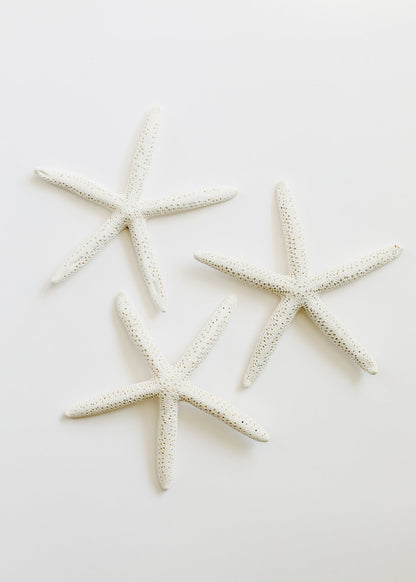 Starfish