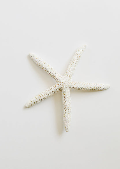 Starfish