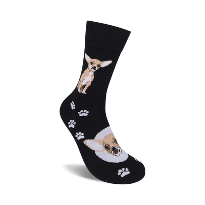Chihuahua