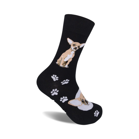 Chihuahua