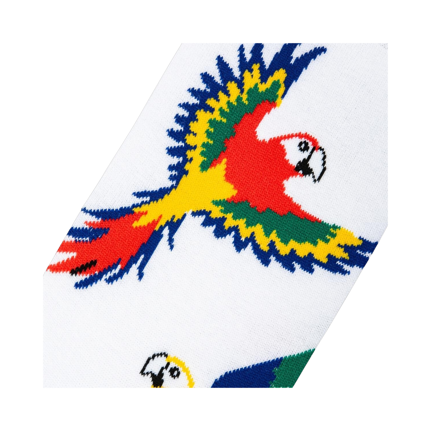 Parrots