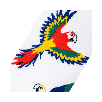 Parrots