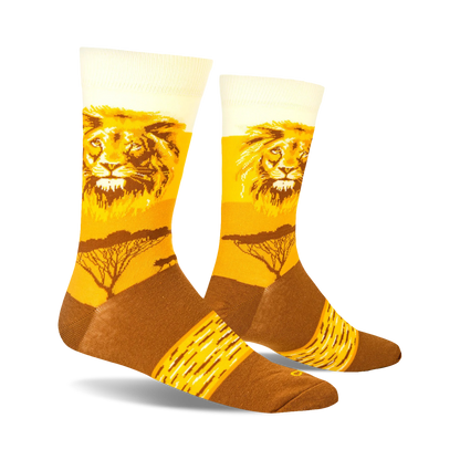 Lion Safari