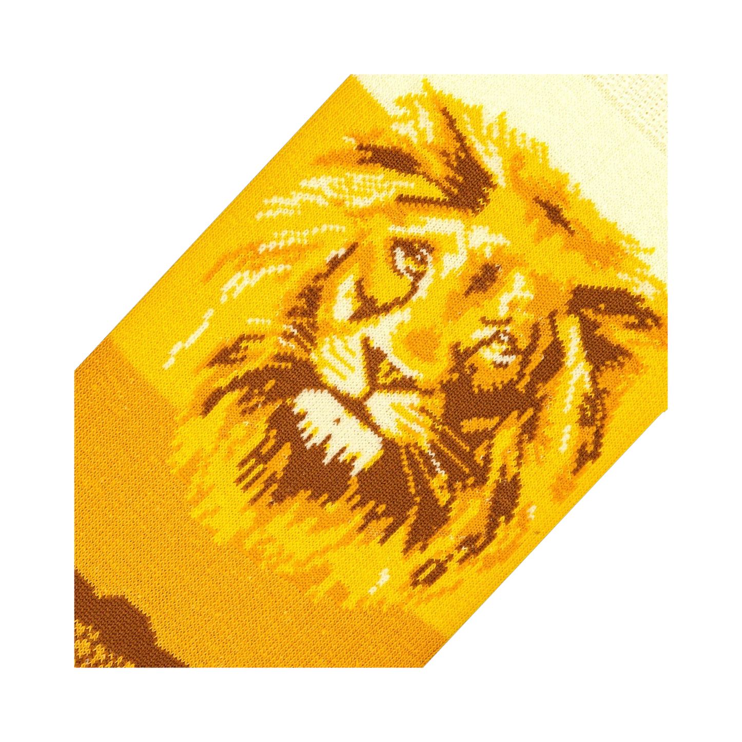 Lion Safari
