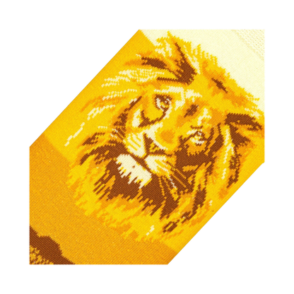 Lion Safari