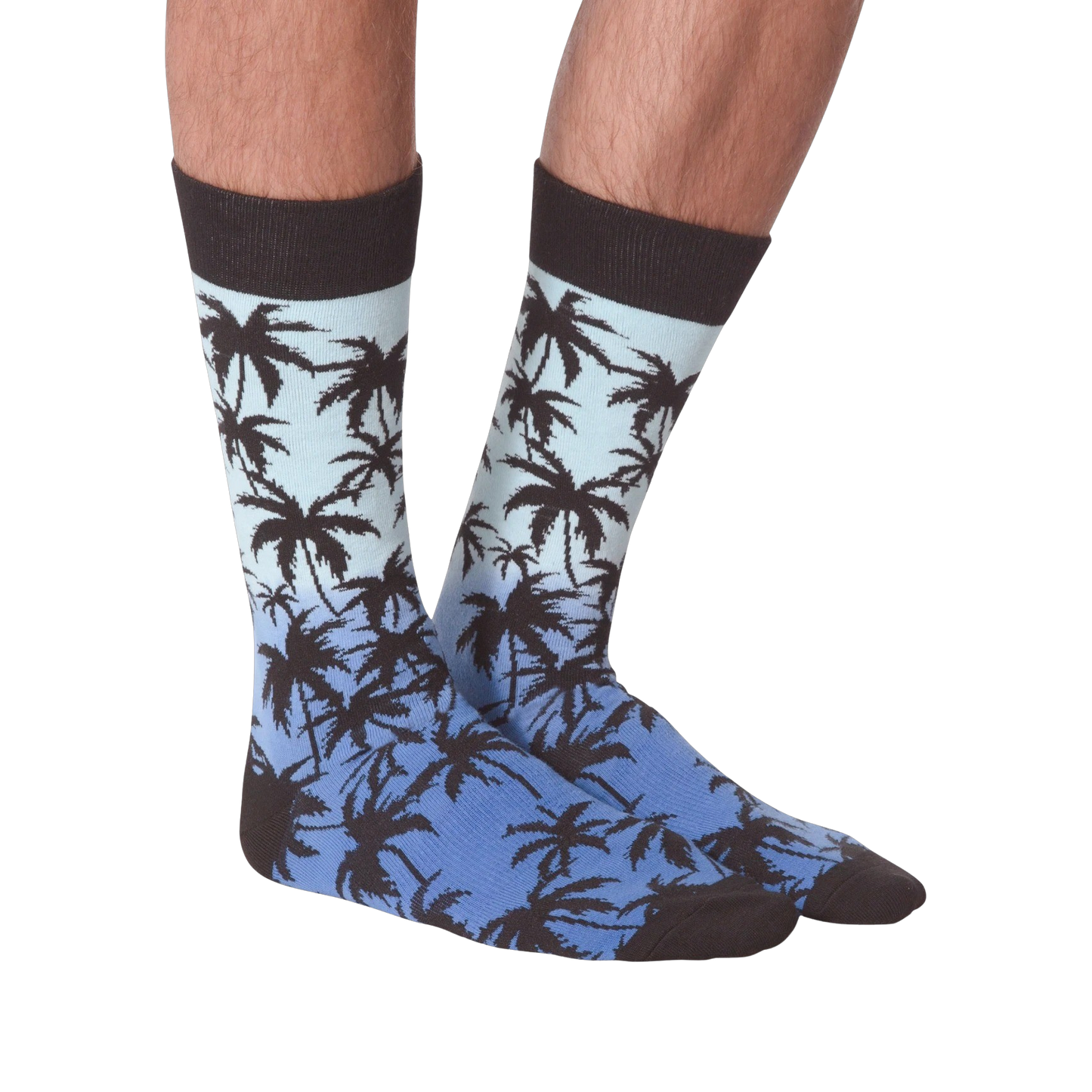 Palm