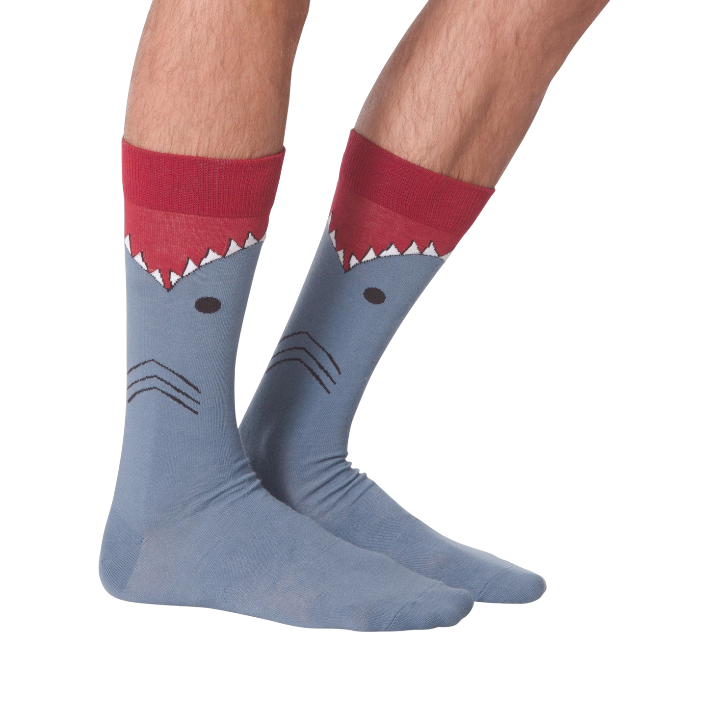Shark XL