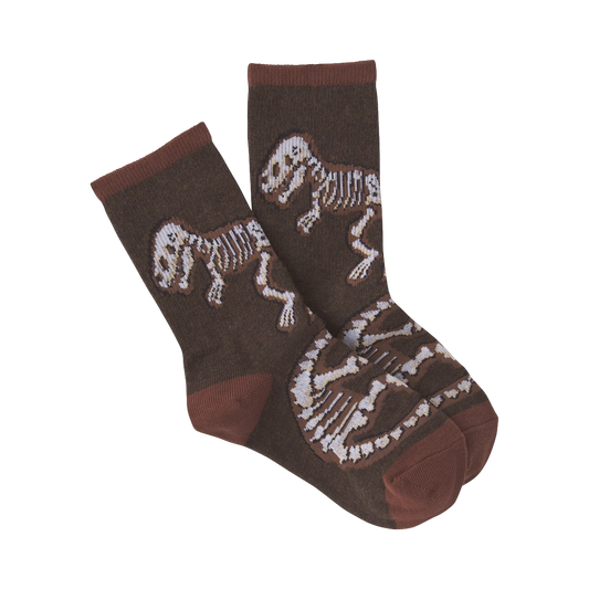 Dino Bones