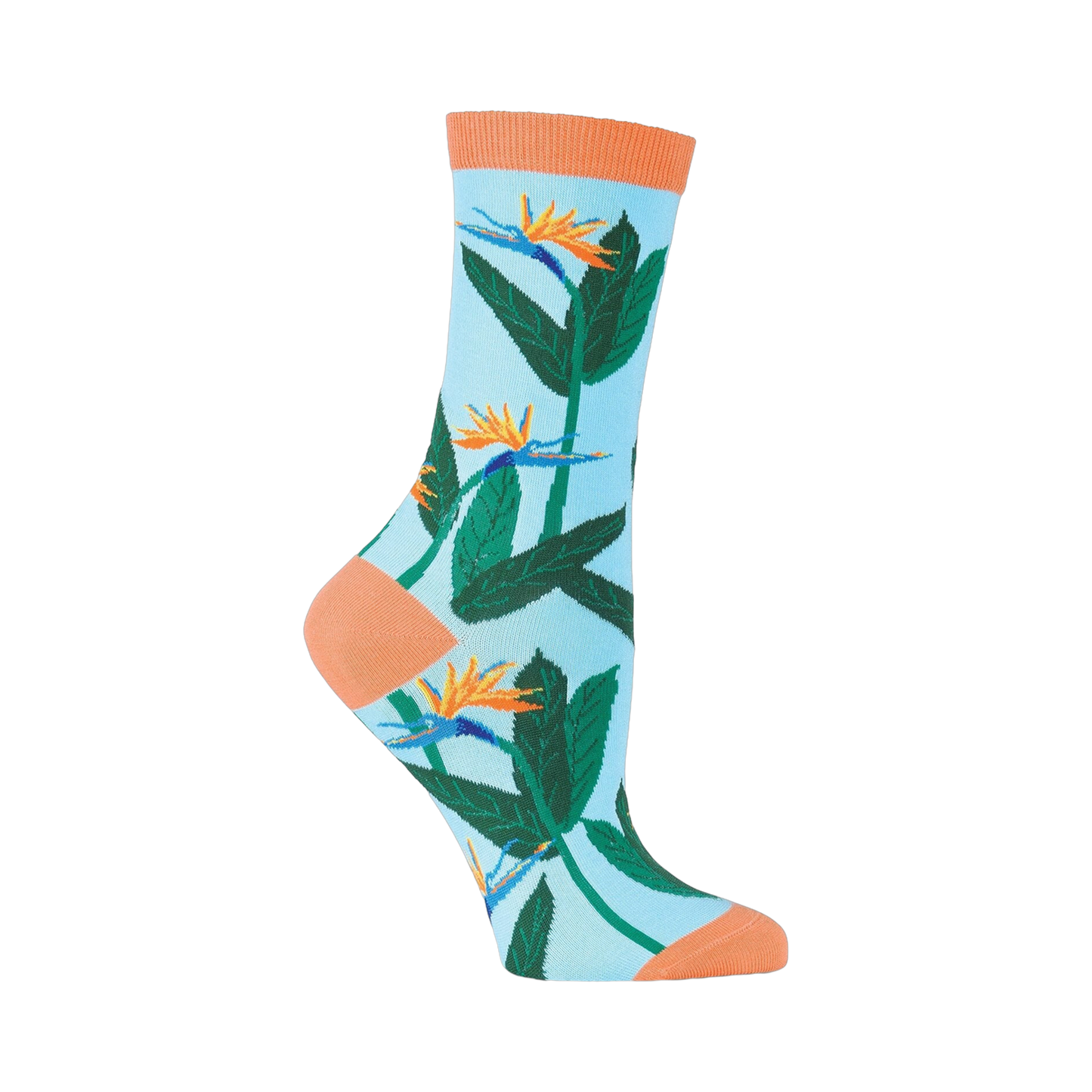 Birds of Paradise