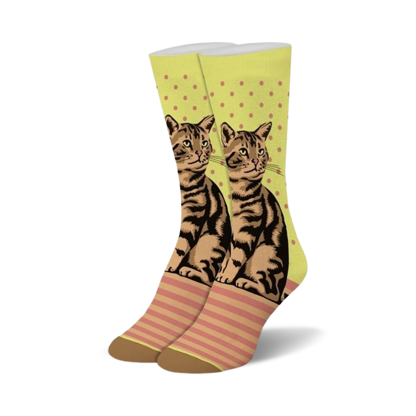 Tabby Cat