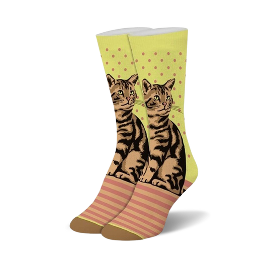 Tabby Cat