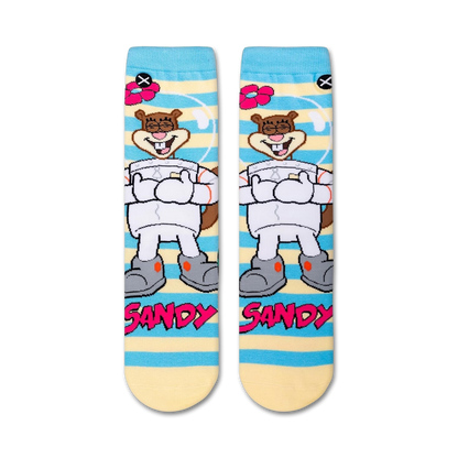Spongebob Squarepants Sandy Cheeks