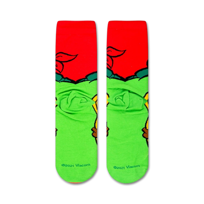 TMNT: Teenage Mutant Ninja Turtles Raphael
