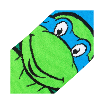 TMNT: Teenage Mutant Ninja Turtles Leonardo