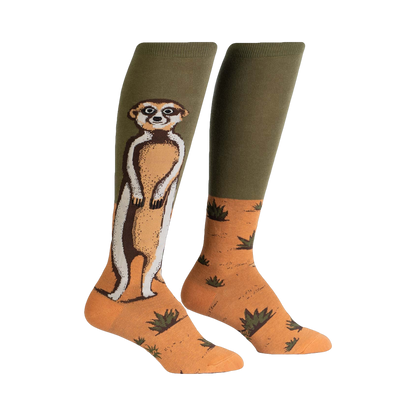 Meerkat Manner