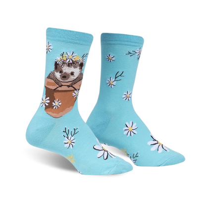 My Dear Hedgehog