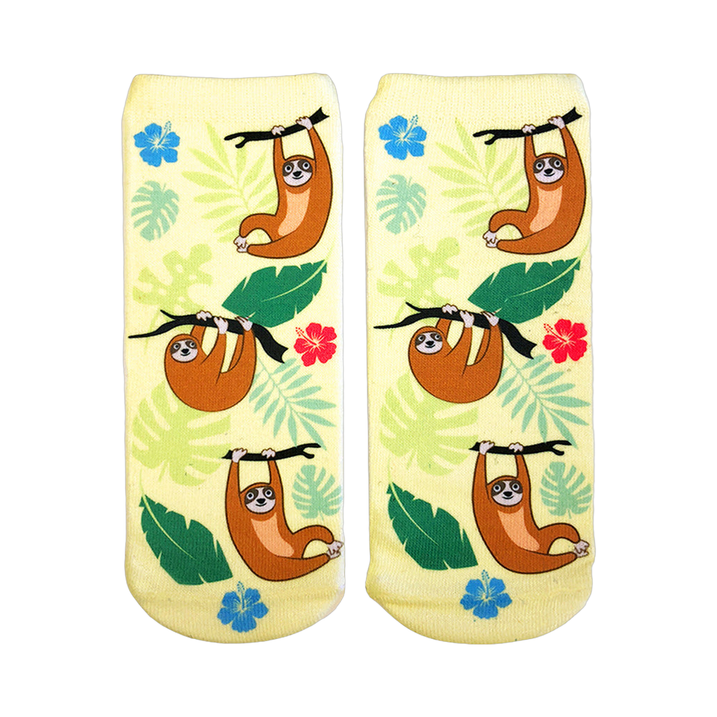 Tree Sloths