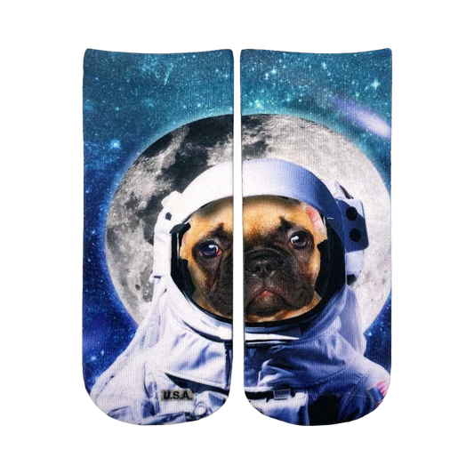 Astronaut Dog