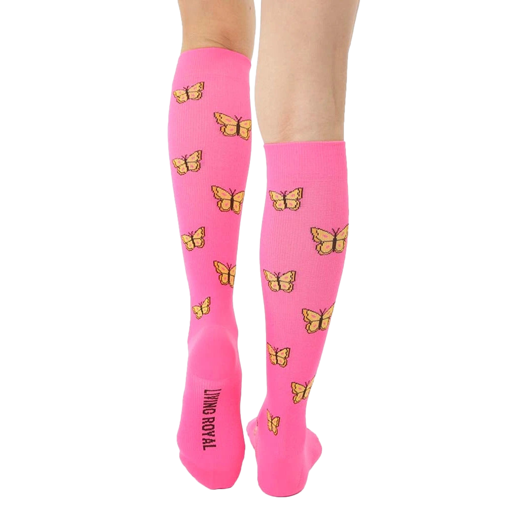 Butterfly Compression
