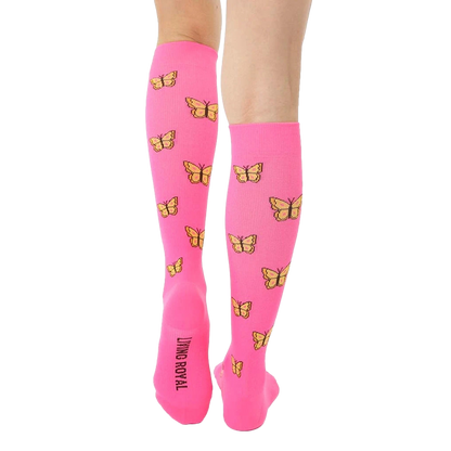 Butterfly Compression