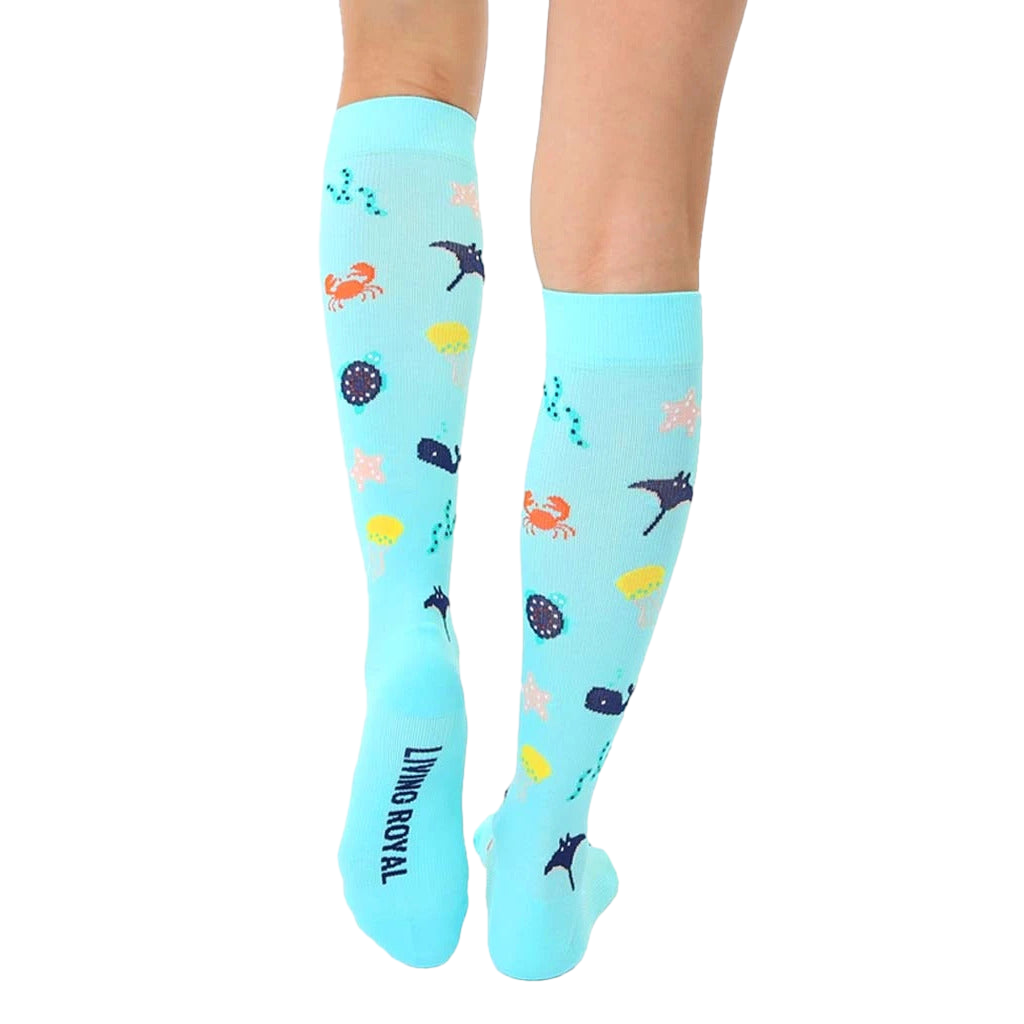 Under The Sea Compression