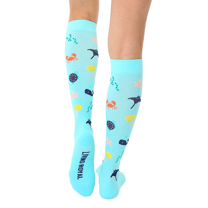 Under The Sea Compression
