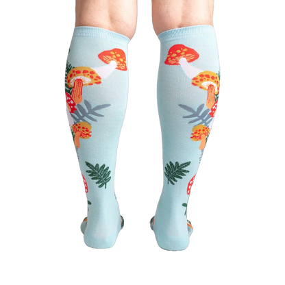 Wonderland Mushrooms