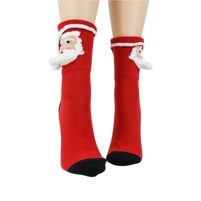 Santa 3D
