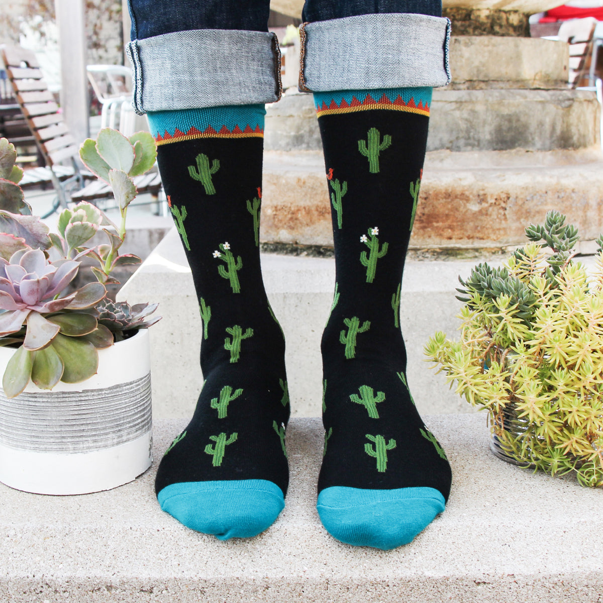 Cactus