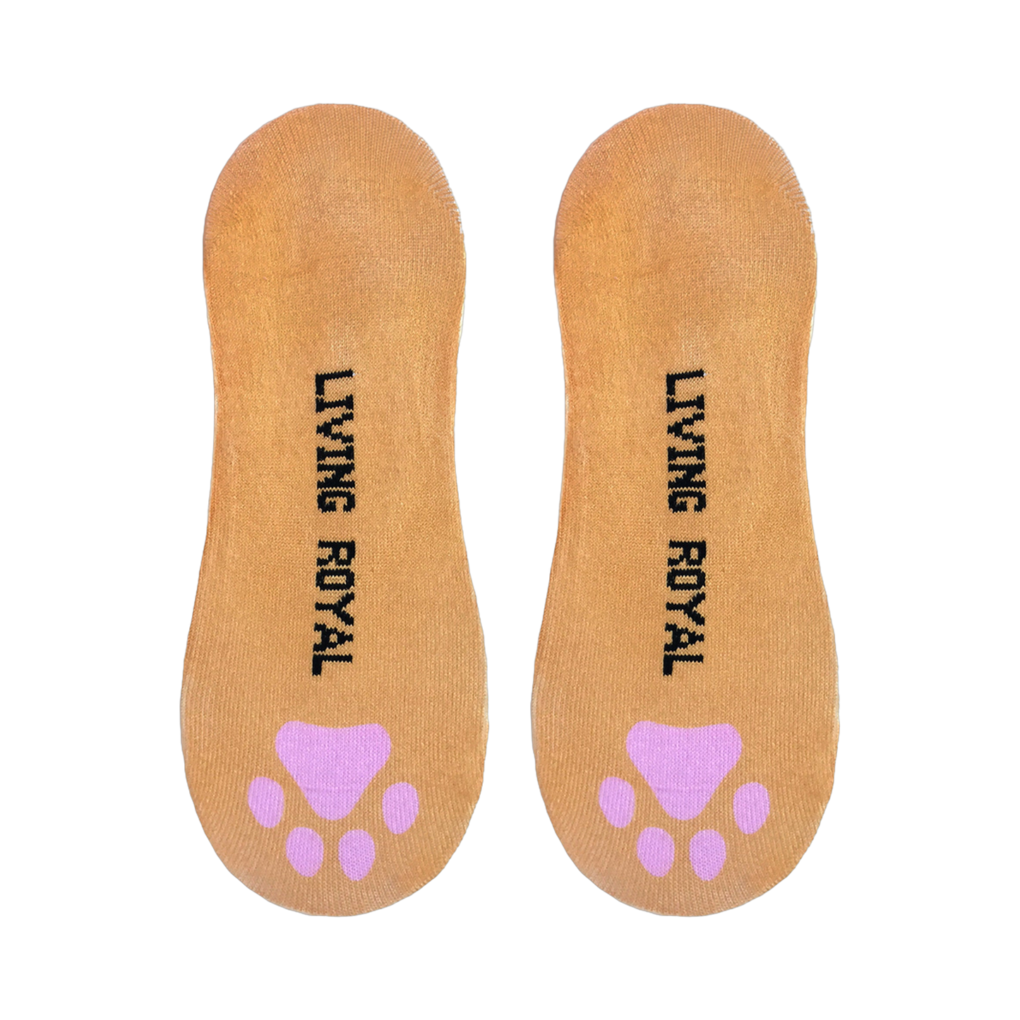 Kitty