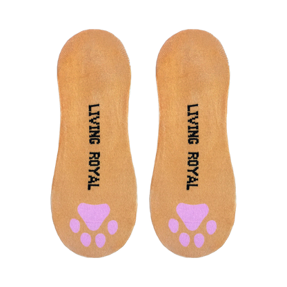 Kitty