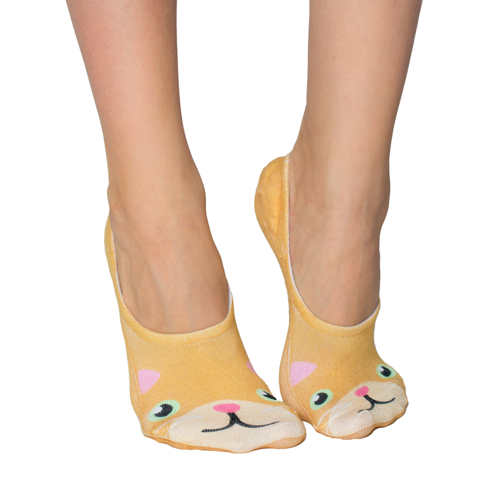Kitty