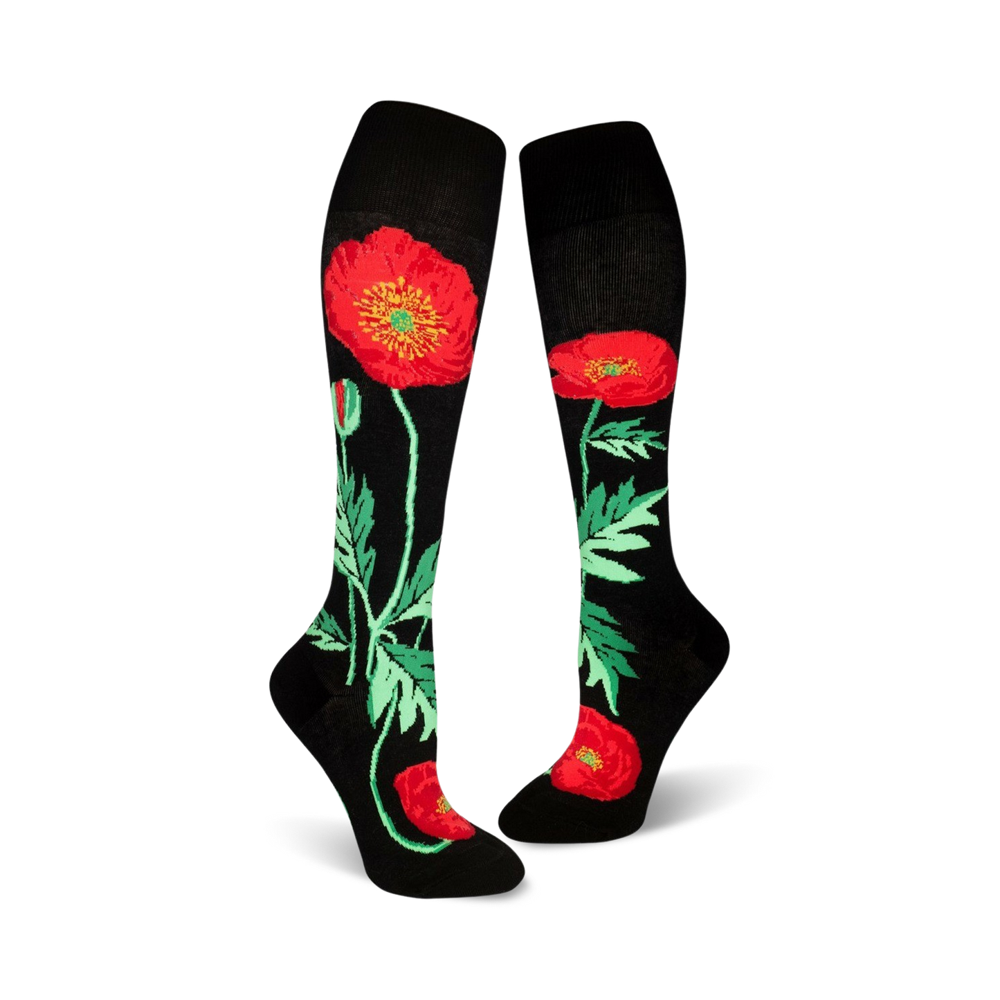 Bold Poppies