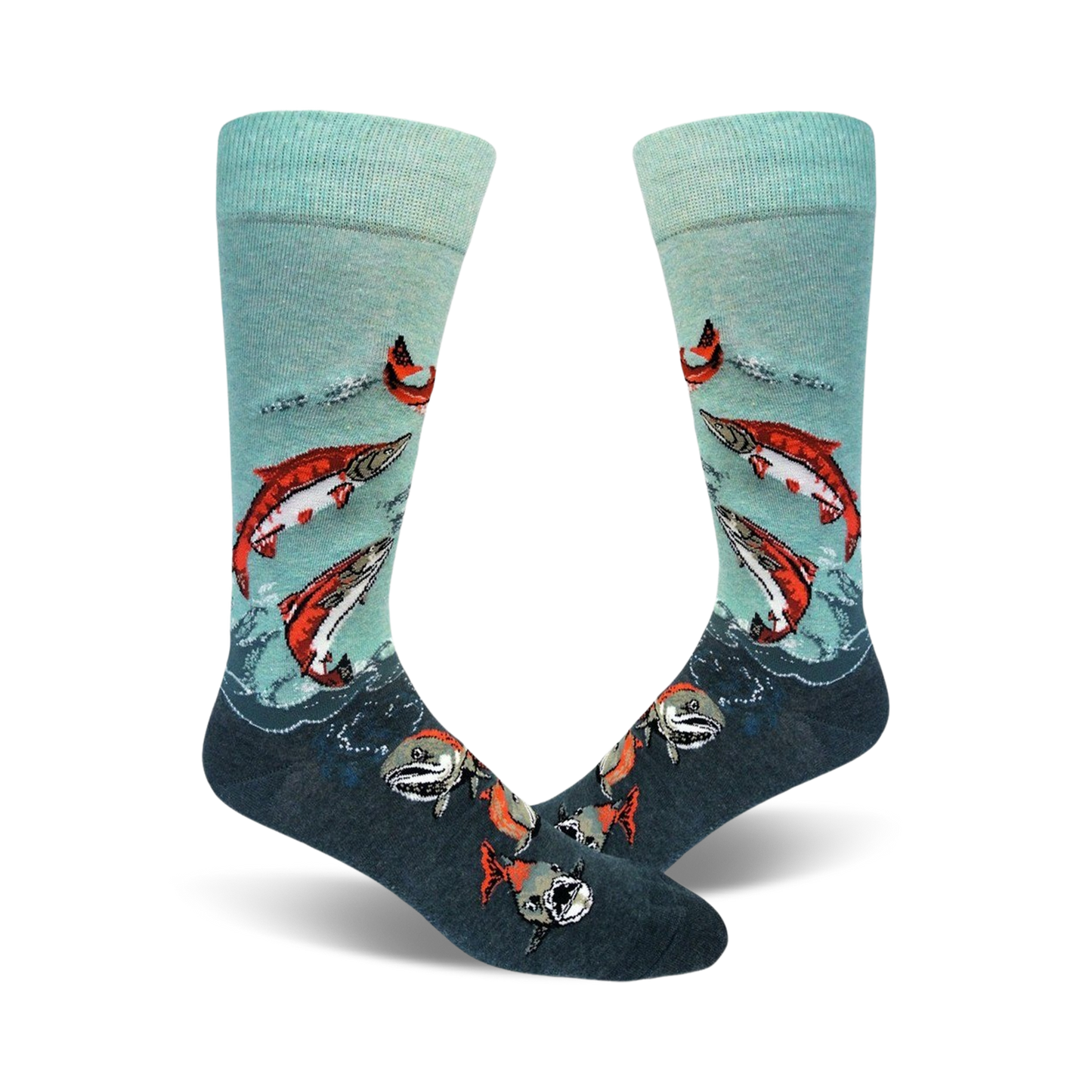 Sockeye Salmon