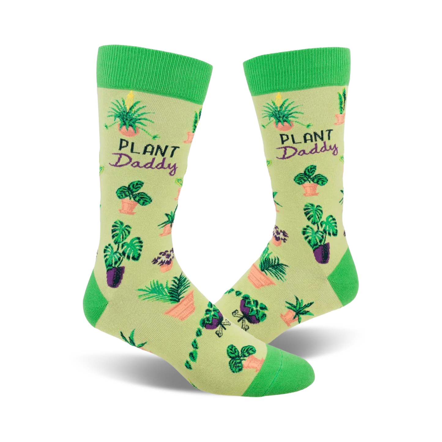 Plant Daddy