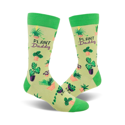 Plant Daddy