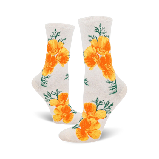 California Poppy