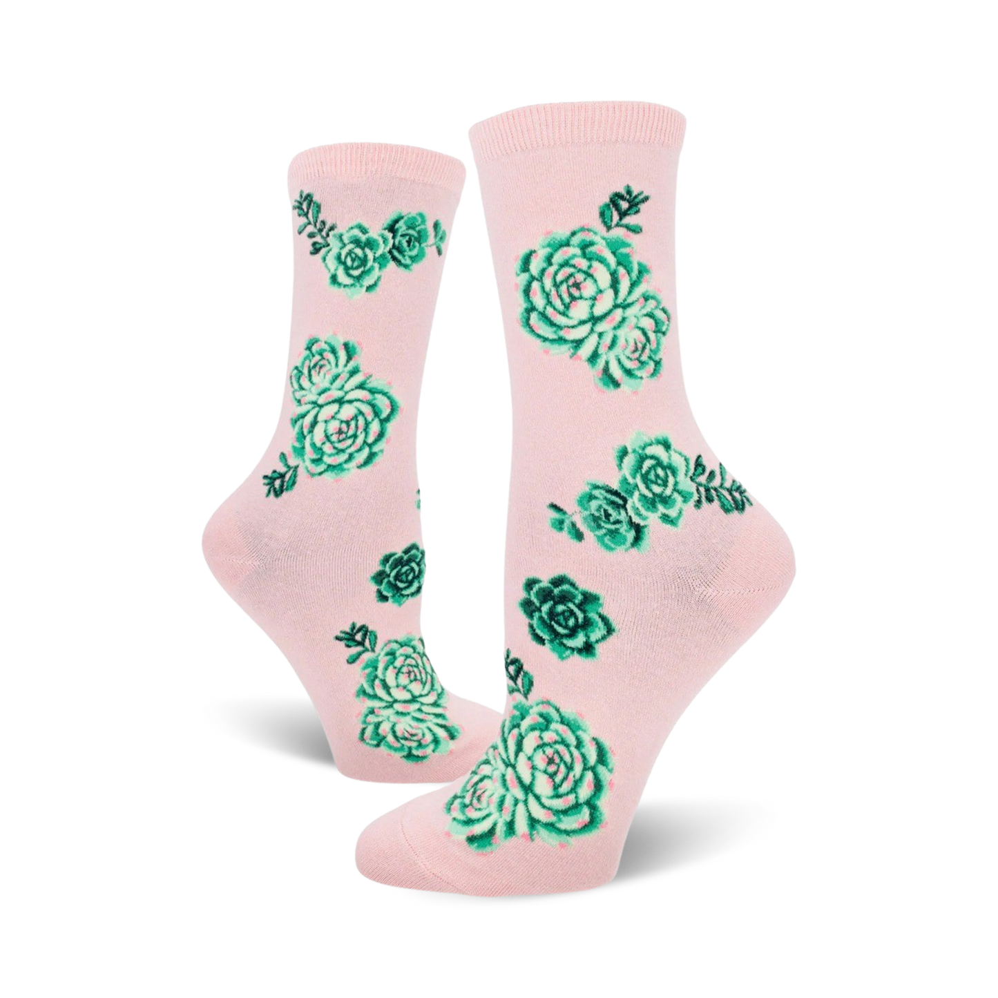 Succulent Plants